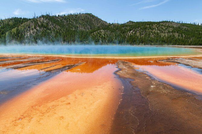 와이오밍 잭슨홀 평점 높은 투어 & 체험 17 Full Day Yellowstone Wildlife Safari Tour from Jackson Hole - Jackson Hole Wyoming