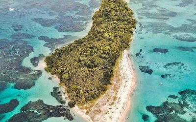 Best Tours & Experiences in Bocas del Toro
