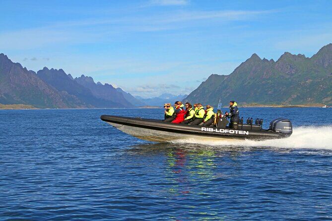 Best Tours & Experiences in Svolvaer Norway 23 01