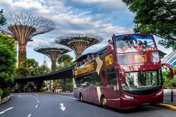 Private vs Small Group Tours in Singapore: Which Should You Book? (2026) 12 Big Bus Singapore Hop-On Hop-Off Tour