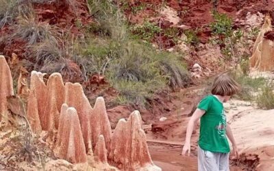 Best Tours & Experiences in Diego Suarez, Madagascar