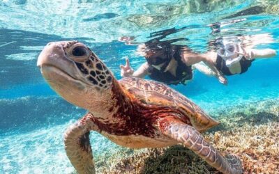 Best Tours & Experiences in Miyakojima