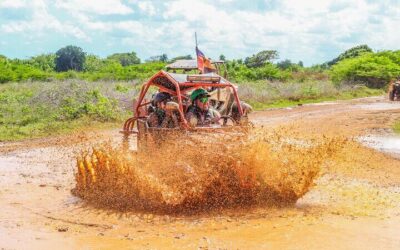 Punta Cana Buggy or ATV Tour with Macao Beach, Cave (2026 Review & Booking Guide)