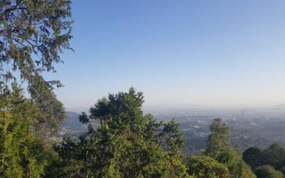 Best Tours & Experiences in Addis Ababa