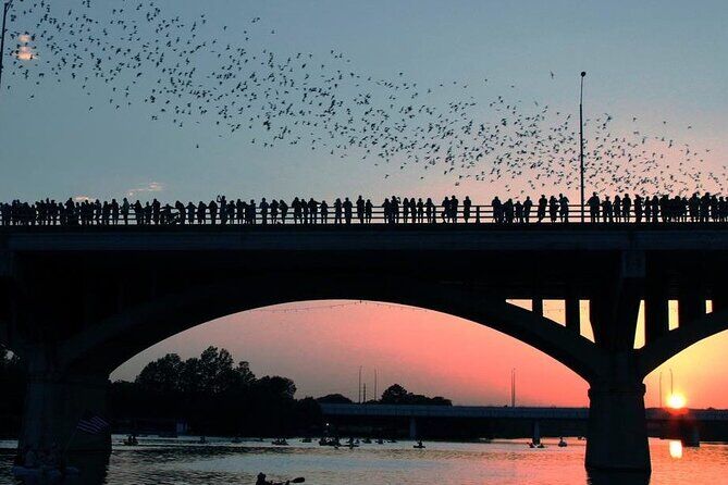 Guided Sunset Kayak Tour in Austin Texas