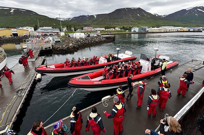 Express Whale Watching from Dalvik Close to Akureyri North Iceland - Akureyri Iceland
