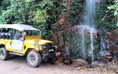 Best Tours & Experiences in Ilhabela, Brazil
