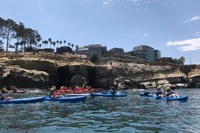 I migliori tour ed esperienze a La Jolla Cove 8 La Jolla Sea Caves Kayak Tour - La Jolla Cove