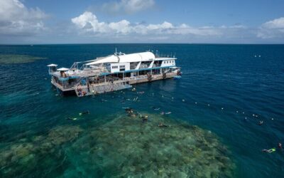 Snorkel & Dive the Reef: Sustainable, Scientific & Cultural (2026 Review & Booking Guide)