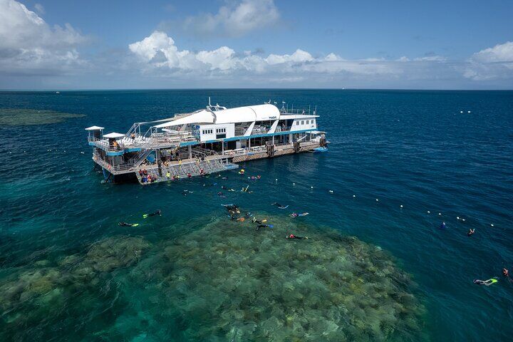 Snorkel & Dive the Reef: Sustainable, Scientific & Cultural (2026 Review & Booking Guide) 1 Snorkel & Dive the Reef: Sustainable, Scientific & Cultural in Cairns and the Tropical North