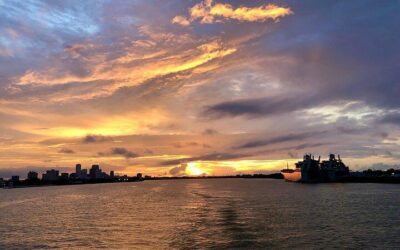 New Orleans Cruise Port Guide: Best Shore Excursions & One Day in New Orleans (2026)
