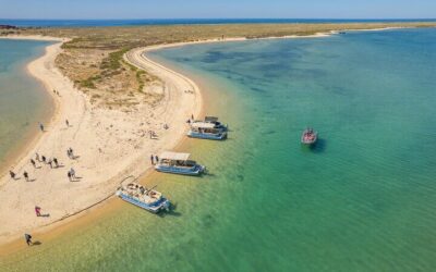 Ria Formosa Natural Park and Islands Boat Cruise from Faro (2026 Review & Booking Guide)