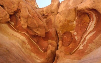 Best Tours & Experiences in Dahab