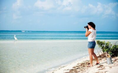 Best Tours & Experiences in Isla Holbox