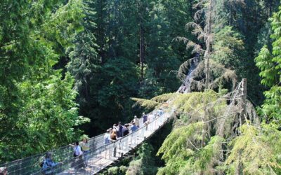 Grouse Mountain, Skyride Gondola & Capilano Bridge (2026 Review & Booking Guide)