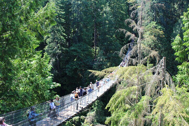 Grouse Mountain, Skyride Gondola & Capilano Bridge (2026 Review & Booking Guide) 1 Grouse Mountain, Skyride Gondola & Capilano Bridge in Vancouver