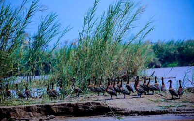 Best Tours & Experiences in Bujumbura