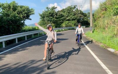 Best Tours & Experiences in Yakushima