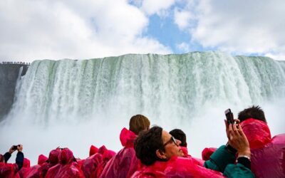 Niagara Falls Day Tour Includes Boat Cruise, Winery Stop & Lunch (2026 Review & Booking Guide)