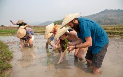 Best Time to Visit Luang Prabang (2026): Month-by-Month Guide