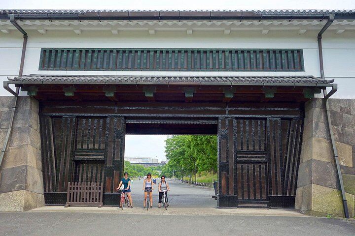 Private vs Small Group Tours in Tokyo: Which Should You Book? (2026) 16 Tokyo Guided Small-Group Biking Tour