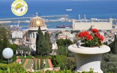 Best Tours & Experiences in Haifa