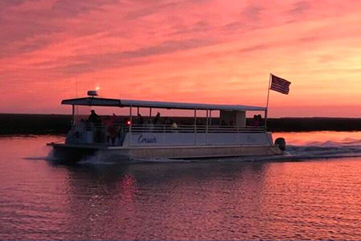 Jekyll Island Dolphin Tours in Golden Isles