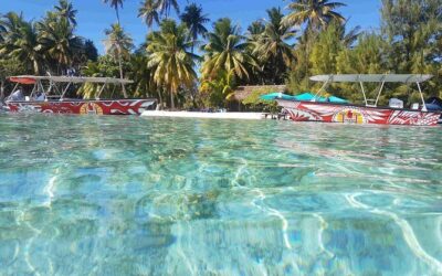 Best Tours & Experiences in Raiatea