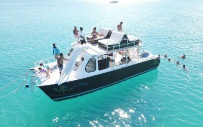 Best Tours & Experiences in Providenciales
