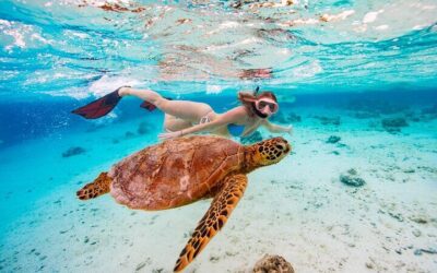 Best Time to Visit Rarotonga (2026): Month-by-Month Guide