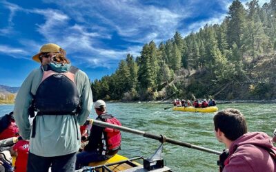 Best Time to Visit Jackson (2026): Month-by-Month Guide