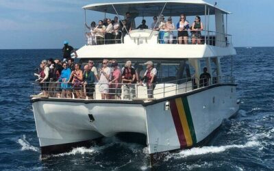 Best Tours & Experiences in Mirissa