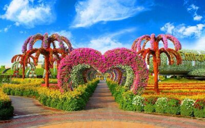 Dubai Miracle Garden Tickets & Tour Guide (2026): Is It Worth It?
