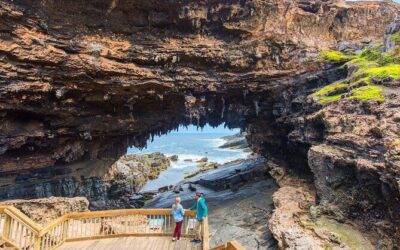 Best Tours & Experiences in Kangaroo Island