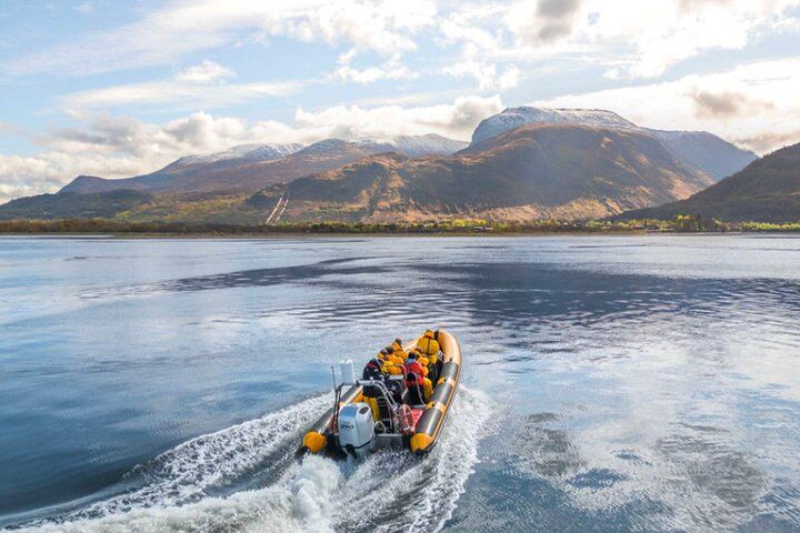 Migliori tour ed esperienze a Fort William Scotland 14 1 Hour Loch Safari Tour in Fort William