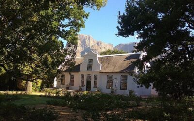 Cape Town Wine Tour: Stellenbosch & Franschhoek +Tastings (2026 Review & Booking Guide)