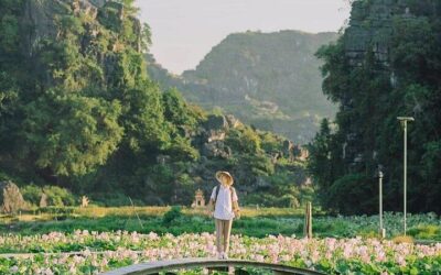 Best Day Trips from Hanoi (2026)
