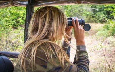 Best Tours & Experiences in Yala National Park