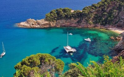 Private vs Small Group Tours in Barcelona: Which Should You Book? (2026)