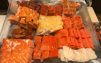 Anchorage City Tour w/ Taste of Wild Smoked Salmon & Reindeer (2026 Review & Booking Guide)