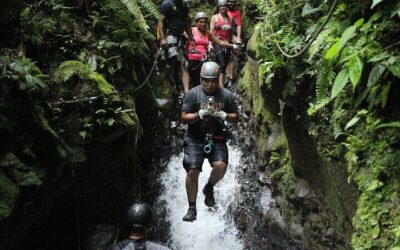 La Fortuna Waterfall, Arenal Volcano, Hot Springs Full Day Tour (2026 Review & Booking Guide)