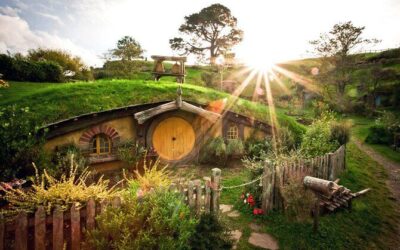 Best Tours & Experiences in Tauranga