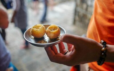 Best Tours & Experiences in Port Louis
