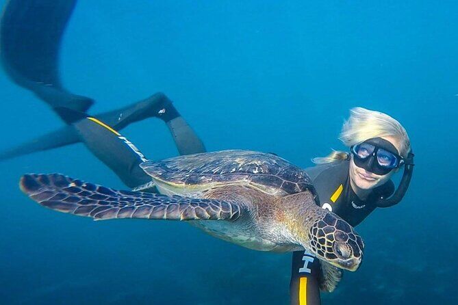 I migliori tour ed esperienze a La Jolla Cove 7 La Jolla Cove Guided Snorkeling Tour with Sea Lions and Sea Caves