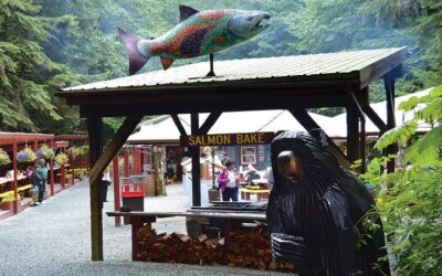Juneau Wildlife Whale Watching & Mendenhall Glacier (2026 Review & Booking Guide)