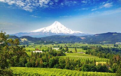 Best Tours & Experiences in Mount Hood Oregon