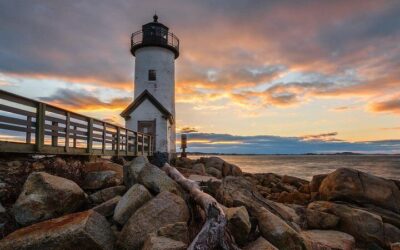 Whale Watching Tour in Gloucester (2026 Review & Booking Guide)