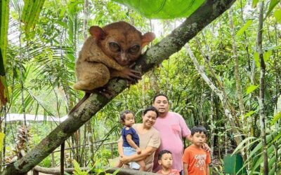 Best Tours & Experiences in Bohol