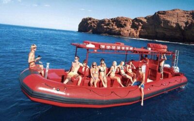 Molokini Crater + South Maui Coast Adventure from Kihei, Maui (2026 Review & Booking Guide)