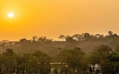 Best Tours & Experiences in Abuja